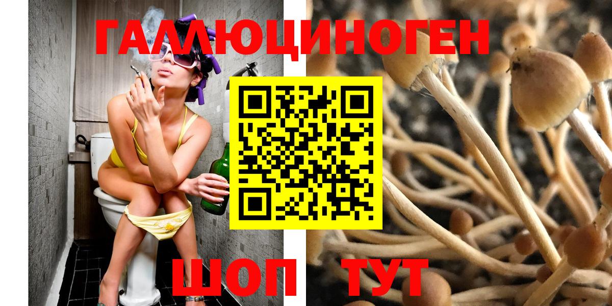 Галлюциногенные грибы Psilocybine cubensis  Вход с VPN  Первоуральск 